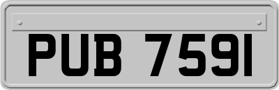 PUB7591