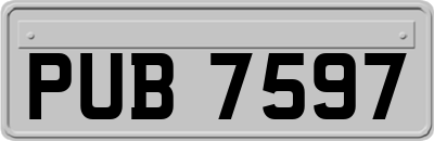 PUB7597