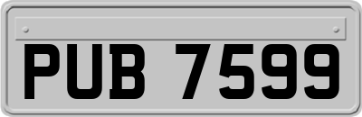 PUB7599