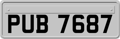 PUB7687