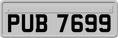 PUB7699