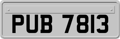 PUB7813