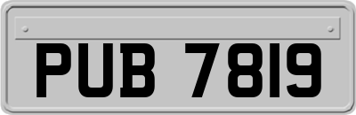 PUB7819
