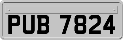 PUB7824