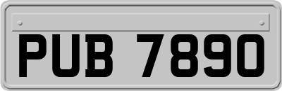 PUB7890