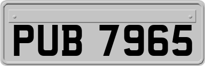 PUB7965
