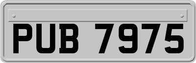 PUB7975