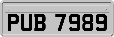 PUB7989