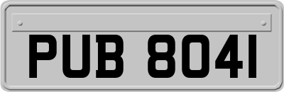 PUB8041