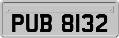 PUB8132