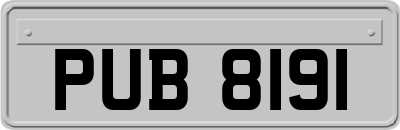 PUB8191
