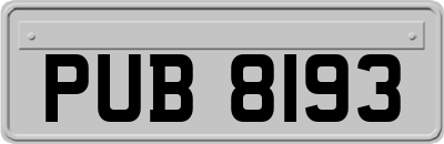 PUB8193
