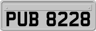PUB8228