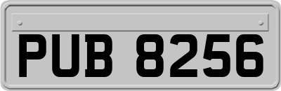 PUB8256
