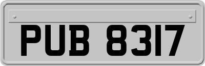 PUB8317