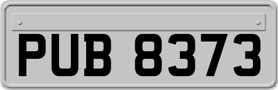 PUB8373