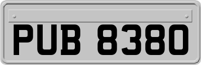 PUB8380