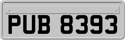 PUB8393
