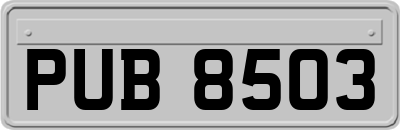 PUB8503