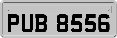 PUB8556