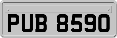 PUB8590
