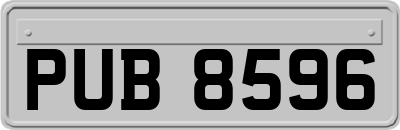 PUB8596