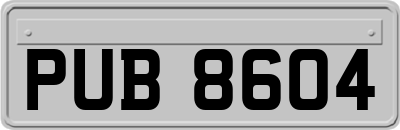 PUB8604