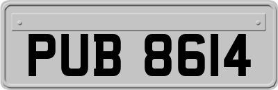 PUB8614