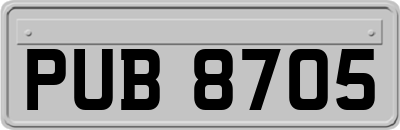 PUB8705