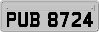 PUB8724