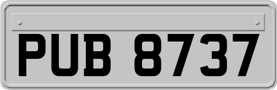 PUB8737