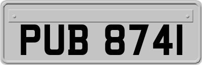 PUB8741