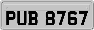 PUB8767