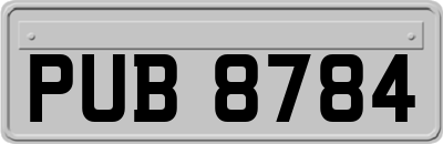 PUB8784