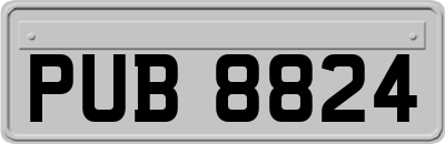 PUB8824