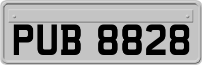 PUB8828