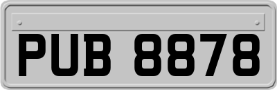 PUB8878
