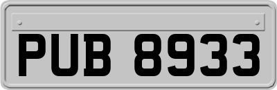 PUB8933