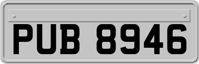 PUB8946