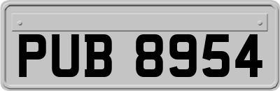 PUB8954