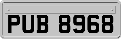 PUB8968