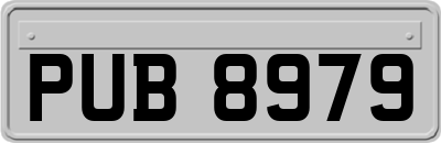 PUB8979