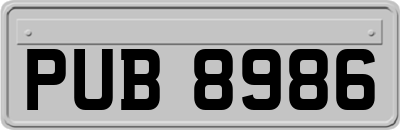 PUB8986