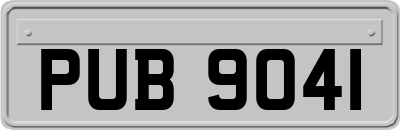 PUB9041