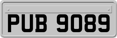 PUB9089