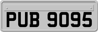 PUB9095
