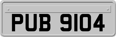 PUB9104