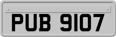 PUB9107