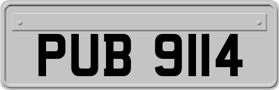 PUB9114