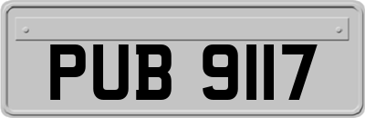PUB9117